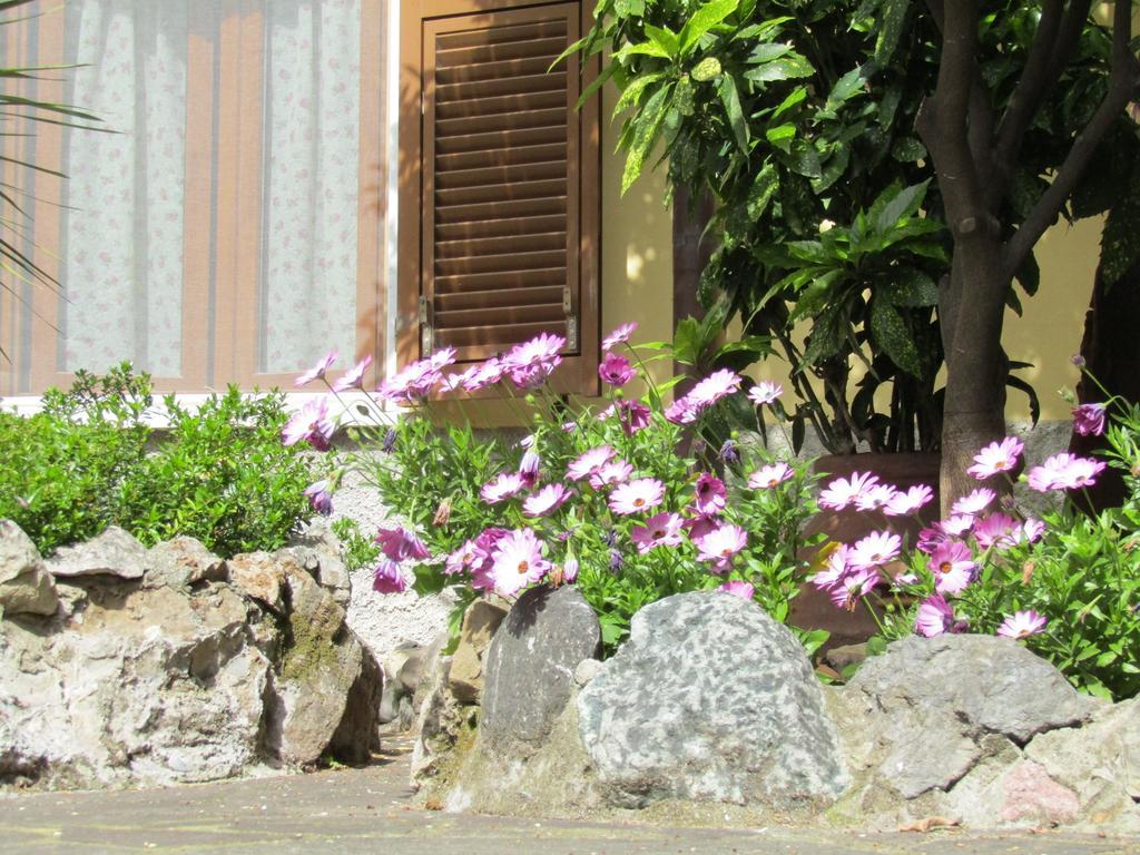 Quarto Queen com Vista para o Jardim